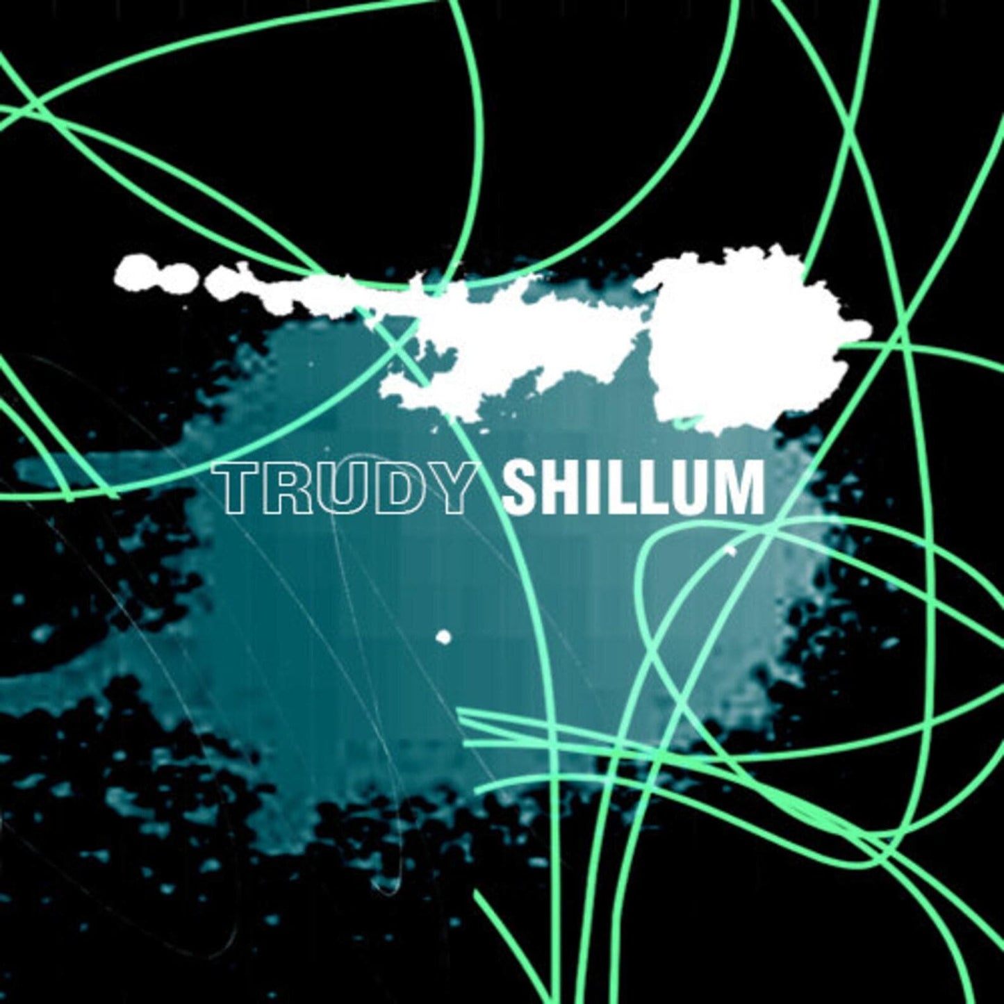 Logo with 'Trudy Shillum' text on a black background with green and white abstract designs.